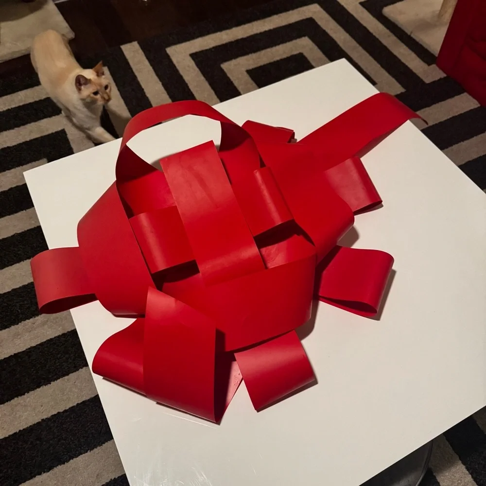 Elegant Red Ribbon Gift Box - Picture 16 of 16